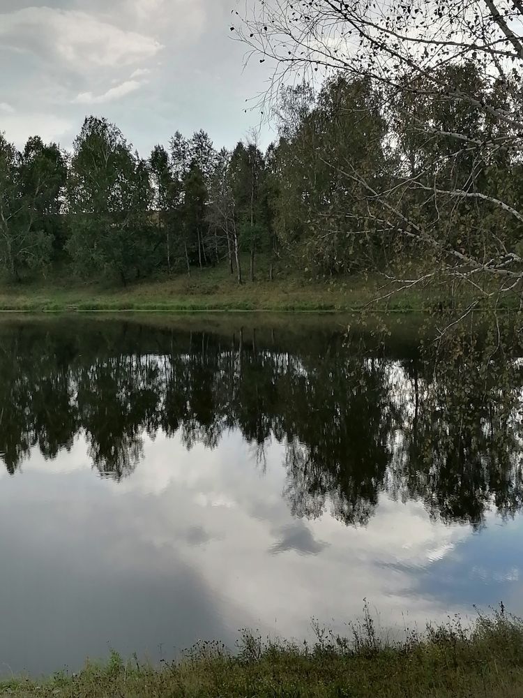 Photograph by Елена Аверьянова