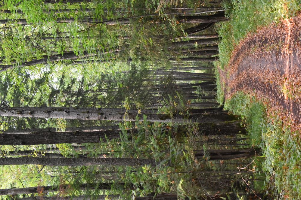 Photograph by Сергей Головин