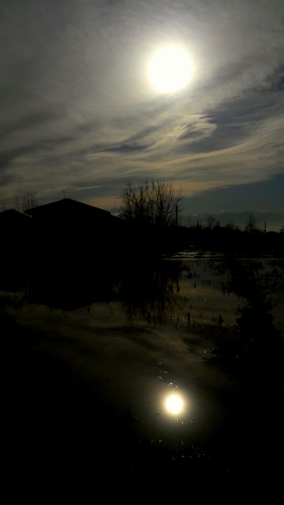 Photograph by Sam Esfahani