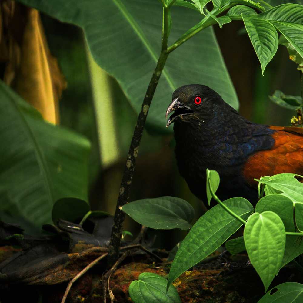 Photograph by Mithun Narayanan