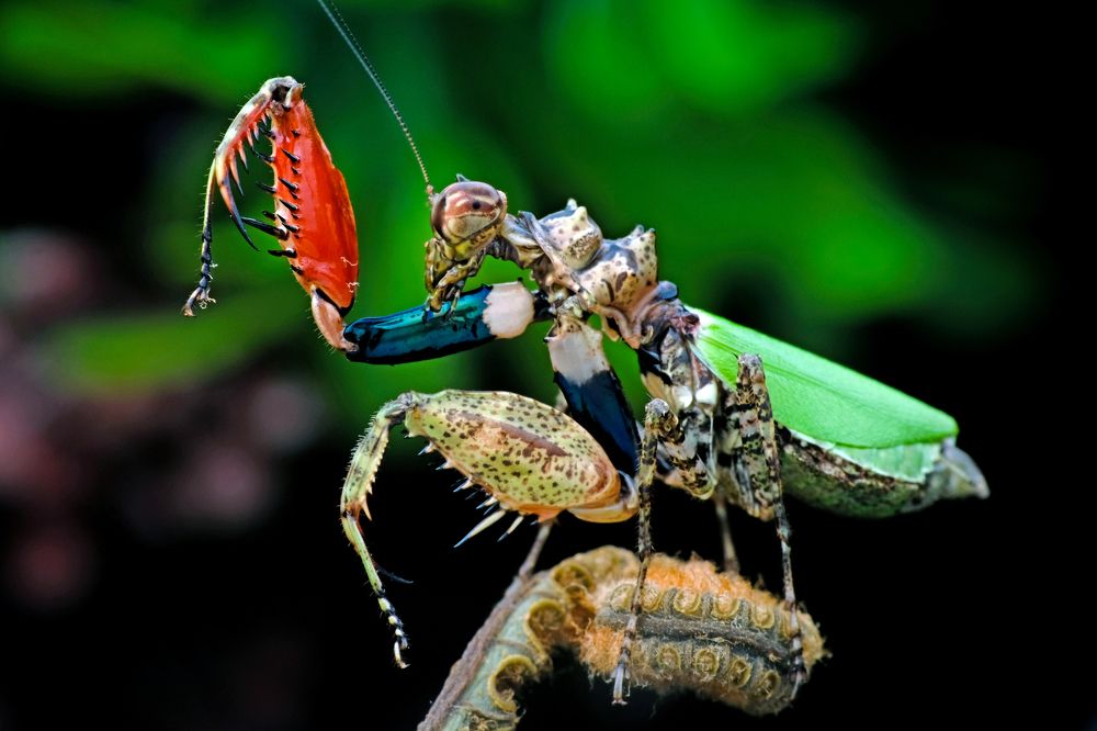 Photograph by KAIYEN LEE