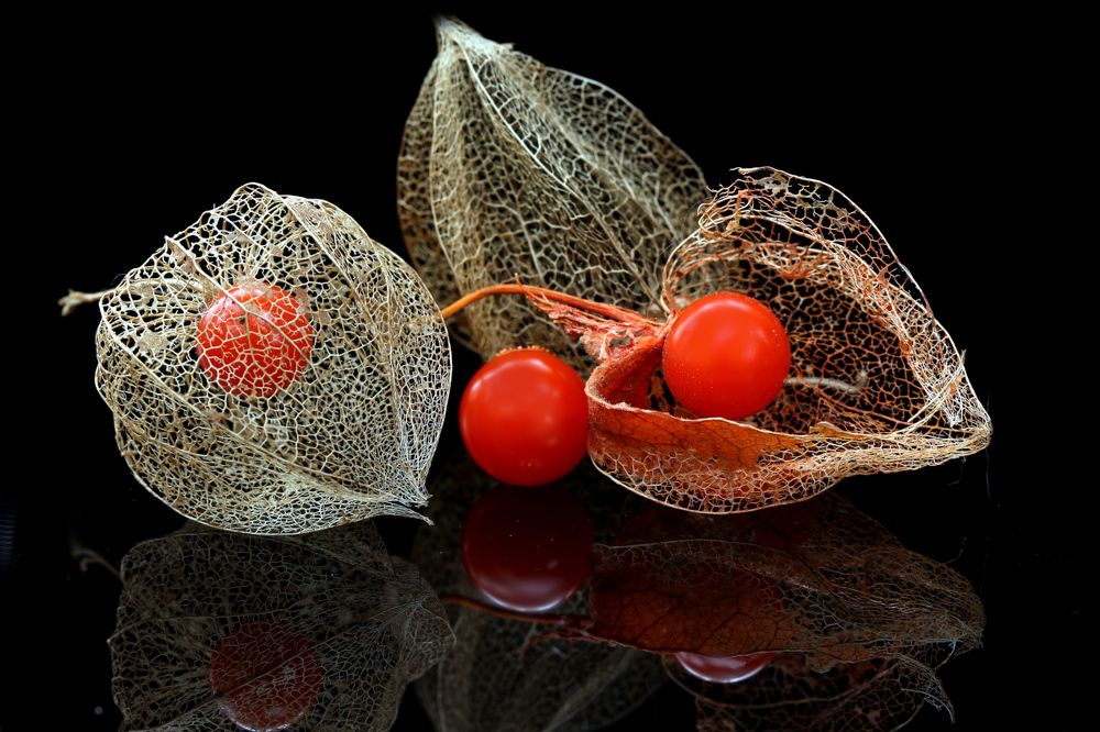 Photograph by Шруб (Беляева) Татьяна