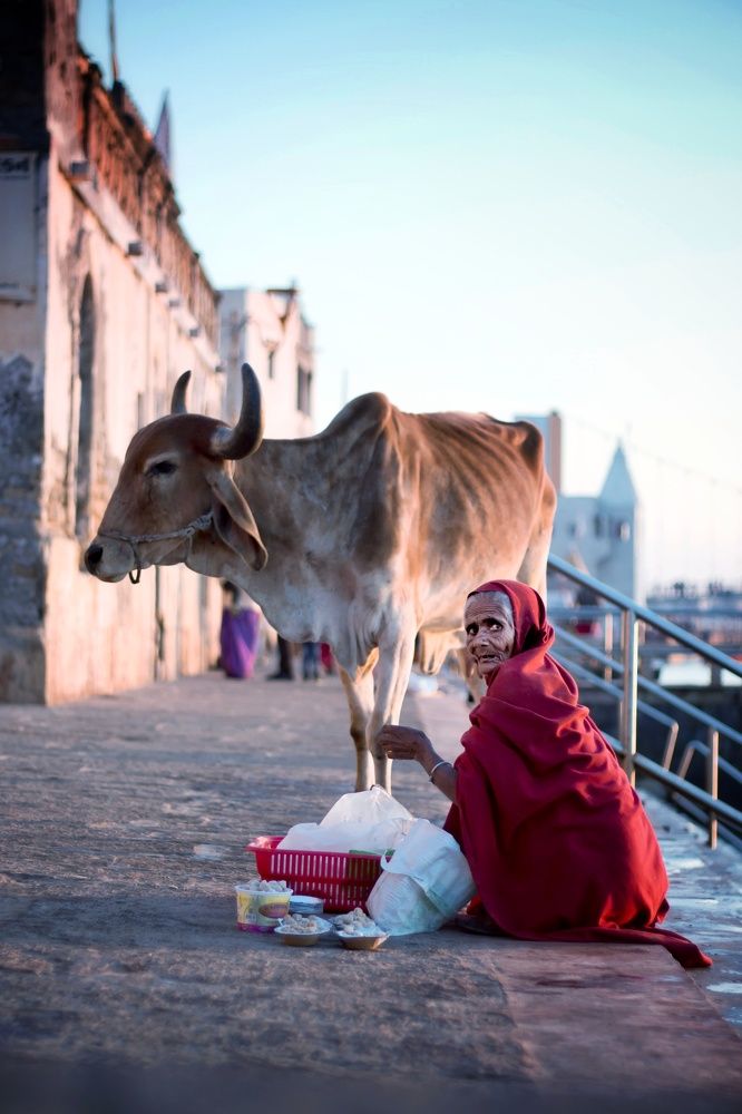 Portrait of Old aged woman