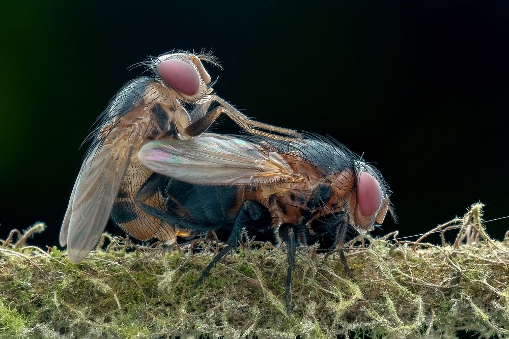 Photograph by KAIYEN LEE