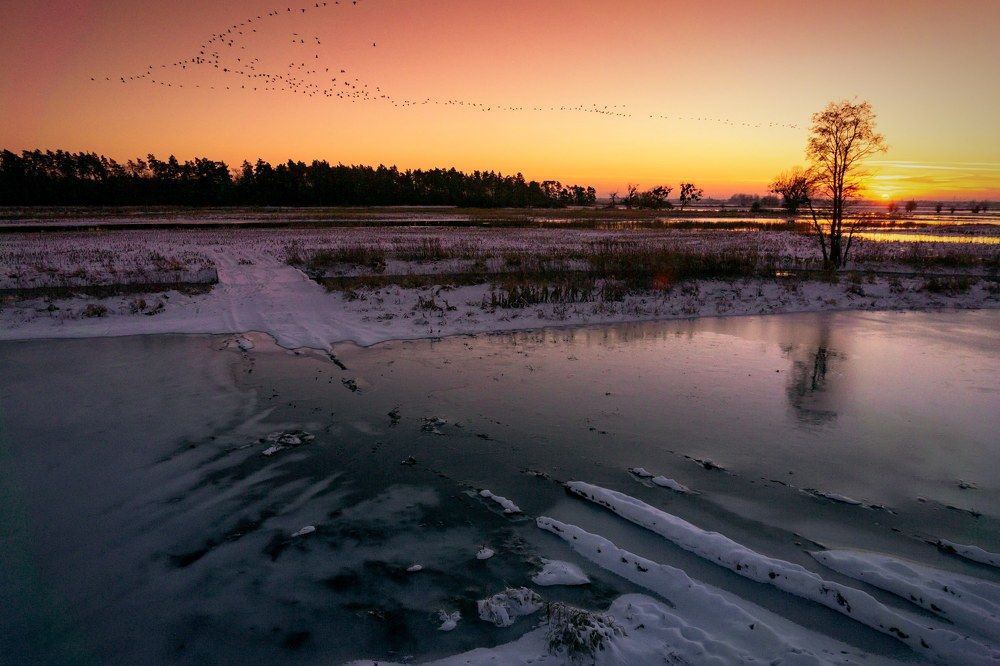 Photograph by Maciej Łagoda