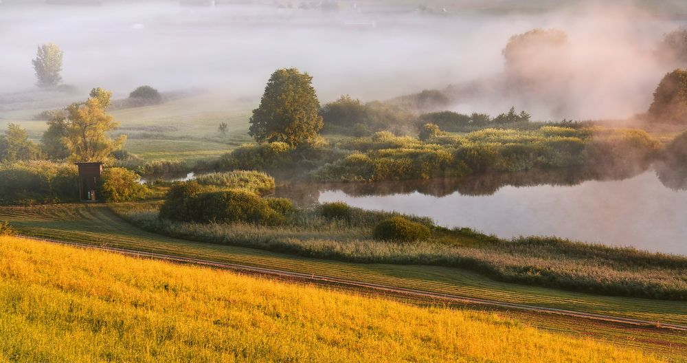 Photograph by Elena Wymann