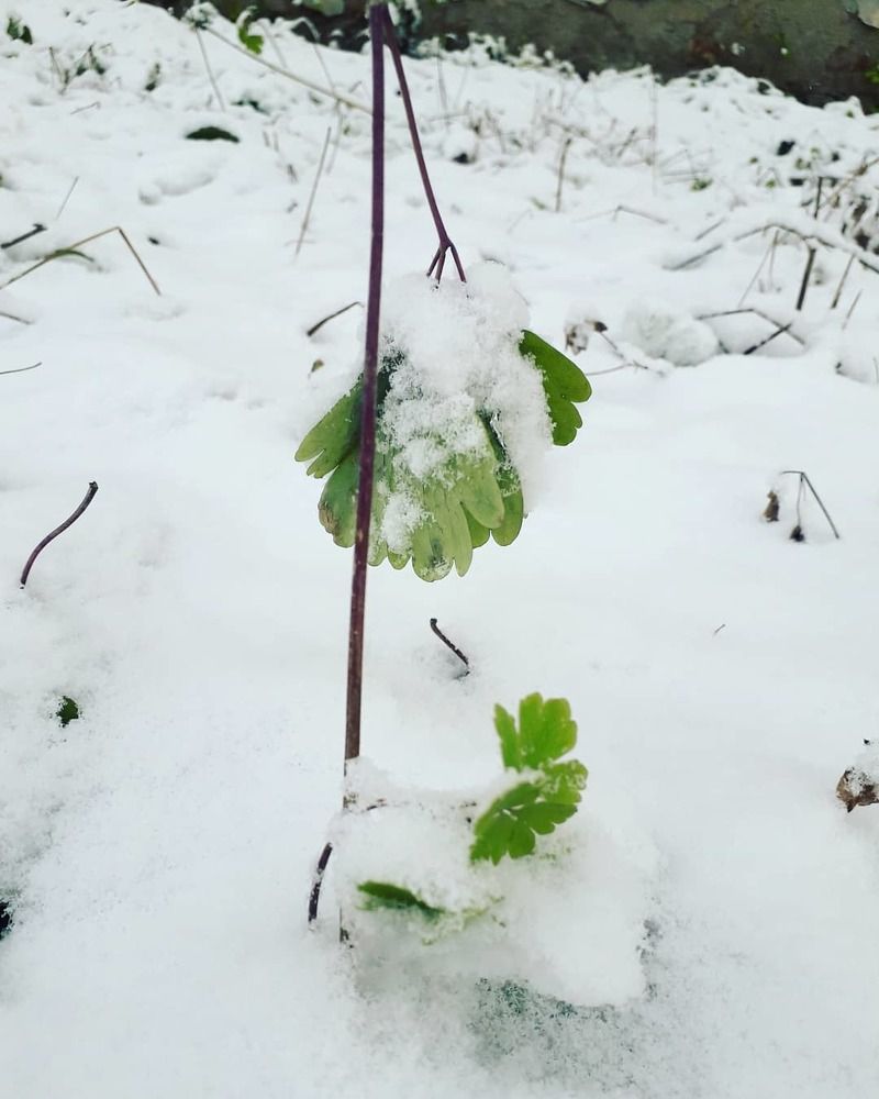 Photograph by Полина Денисова