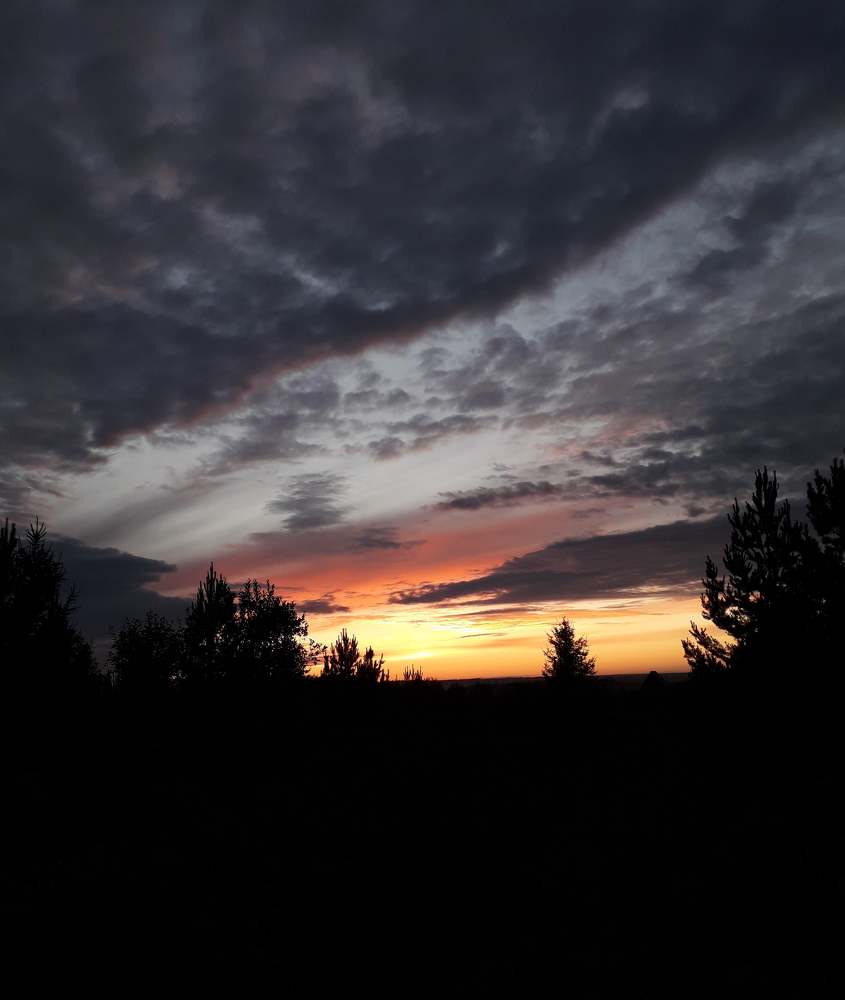 Photograph by Полина Денисова