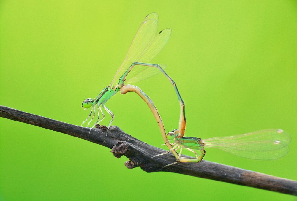 Photograph by Luvis_Artphoto