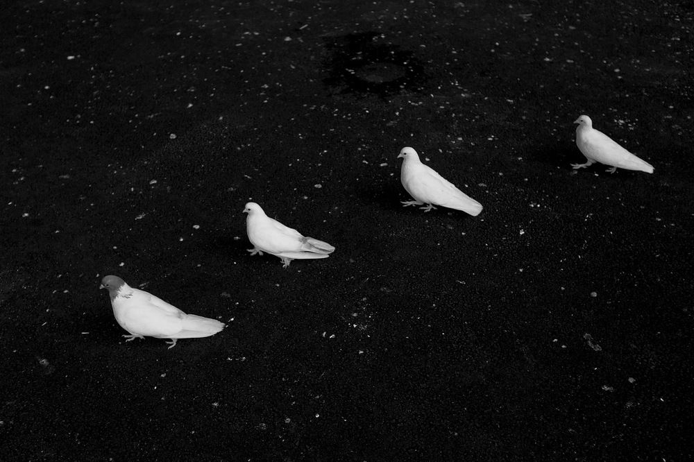 Photograph by АКОП МАРГАРЯН