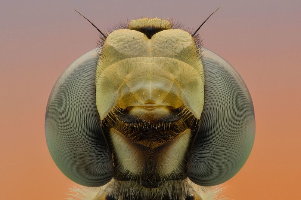 Photograph by Luvis_Artphoto