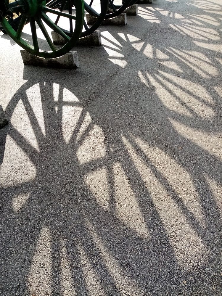 В едином ритме / In the Same Rhythm