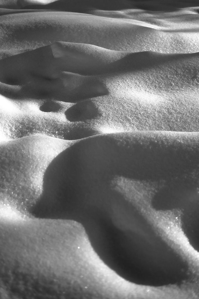 Photograph by Алёна Пичугина