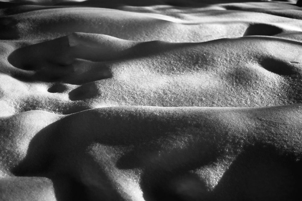 Photograph by Алёна Пичугина