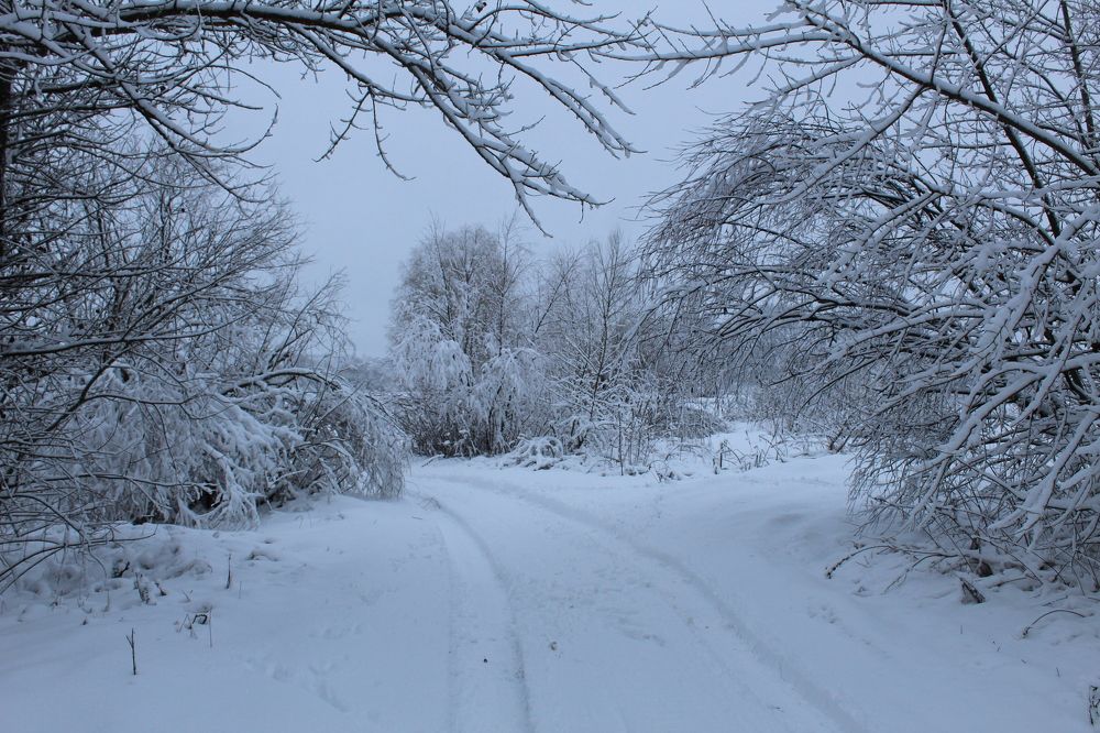 Photograph by Кристина Шоба