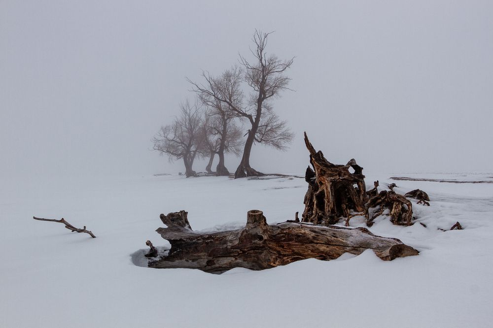 Photograph by Дмитрий Копылов