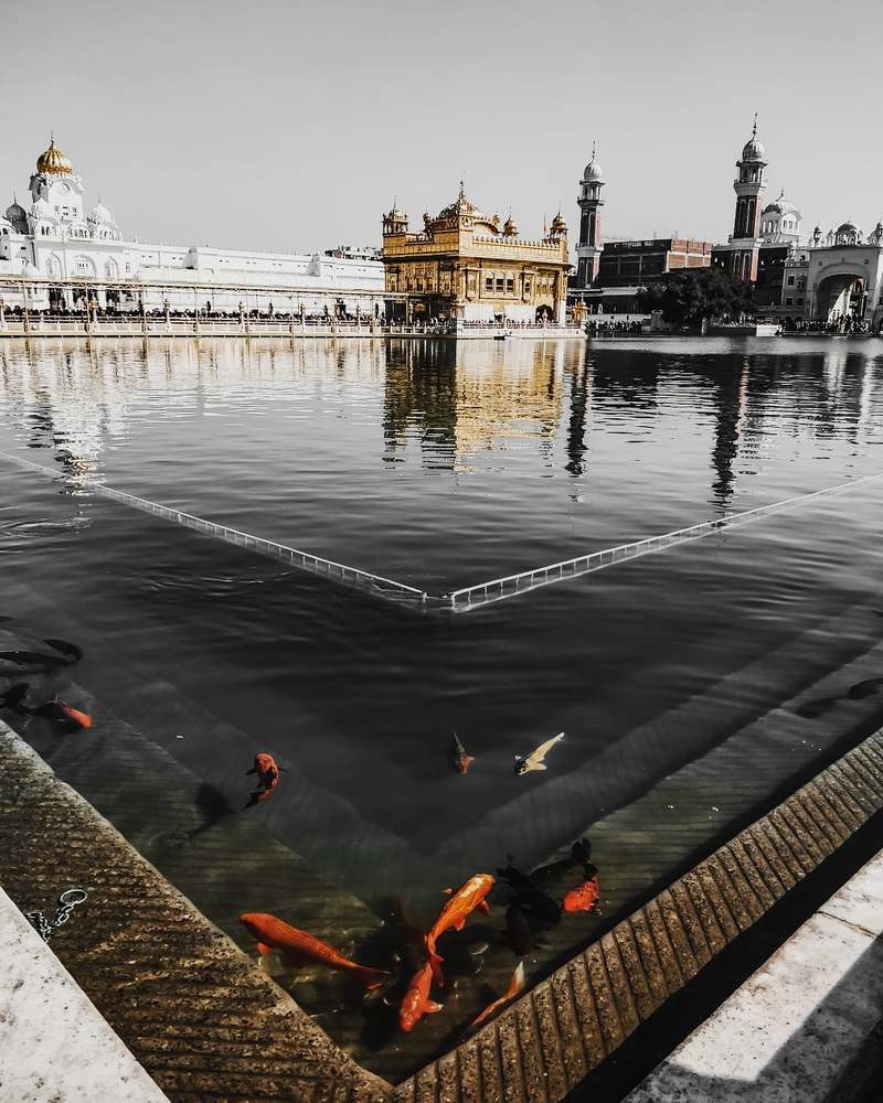 Photograph by Parth Narendra Gala