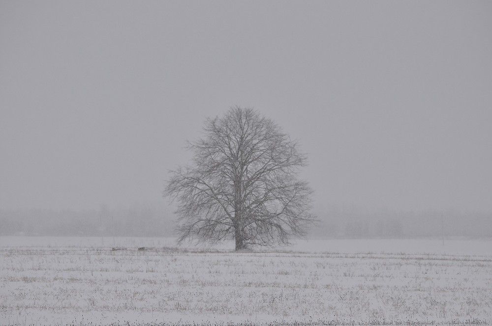 Photograph by Юрий Яковлев