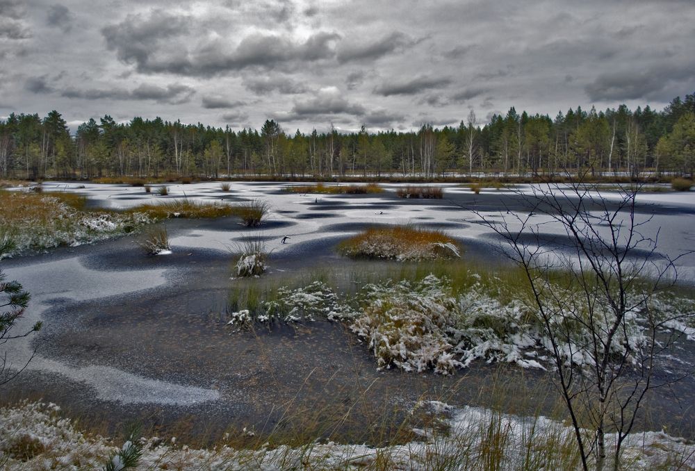 Фотография автора Александр Сальников