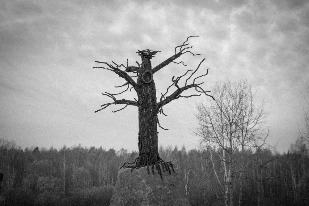 Photograph by Виктория