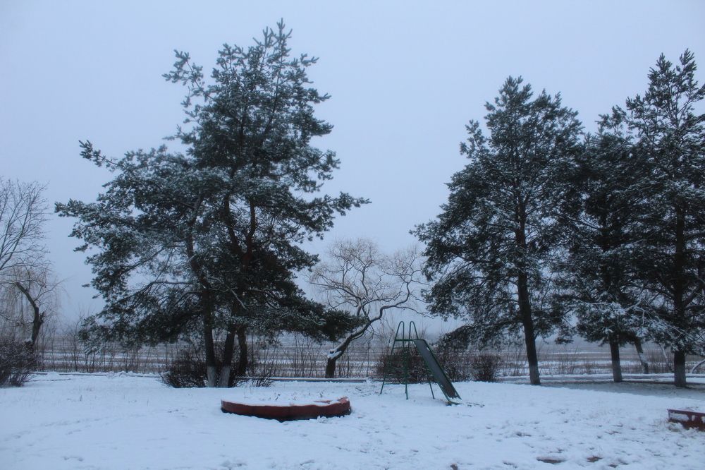 Photograph by Кристина Шоба