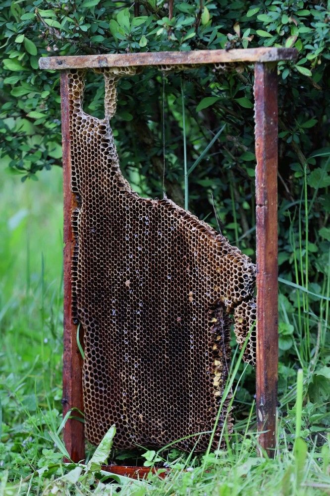 Photograph by Андрей Телибаев