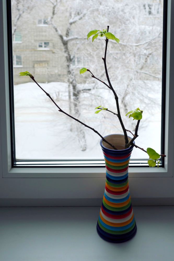 Photograph by Григорий Иванов