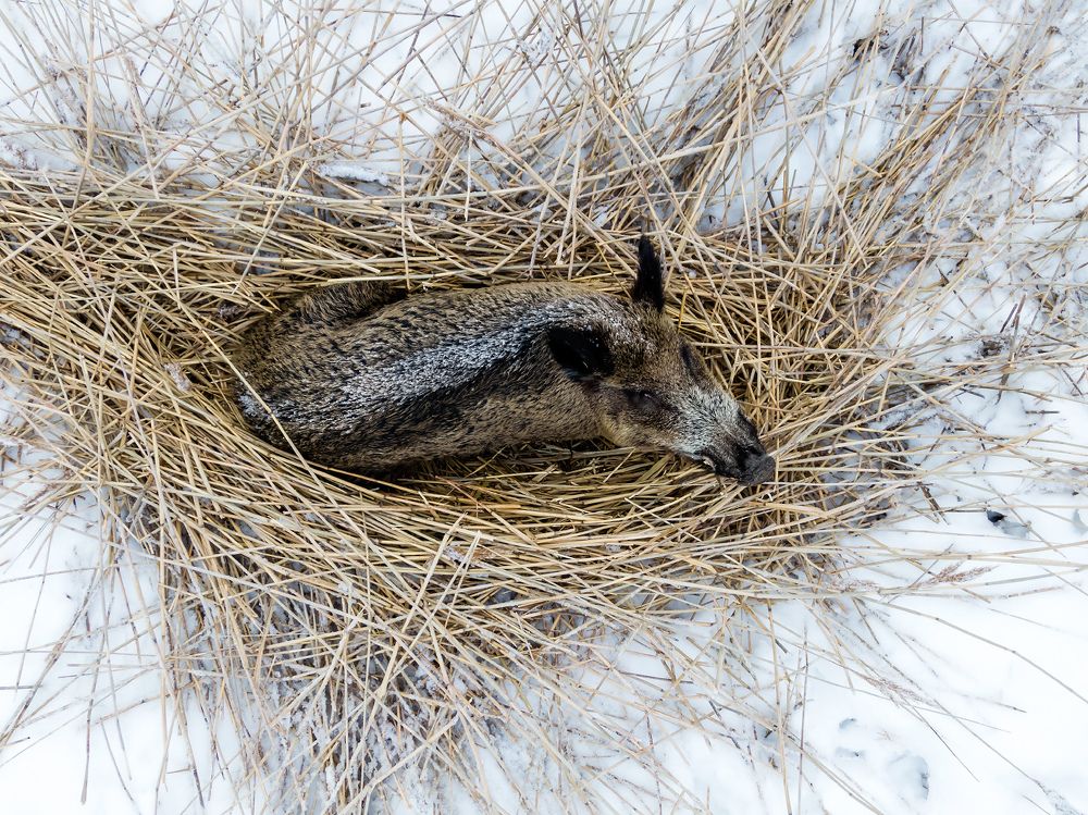 Photograph by Александр Абросимов