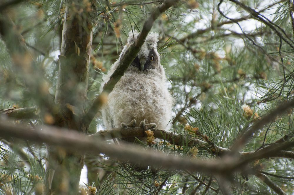 Photograph by Мария Долбич