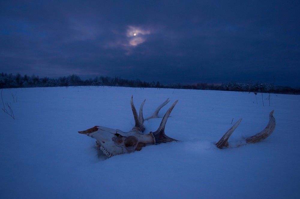Photograph by Юрий Яковлев