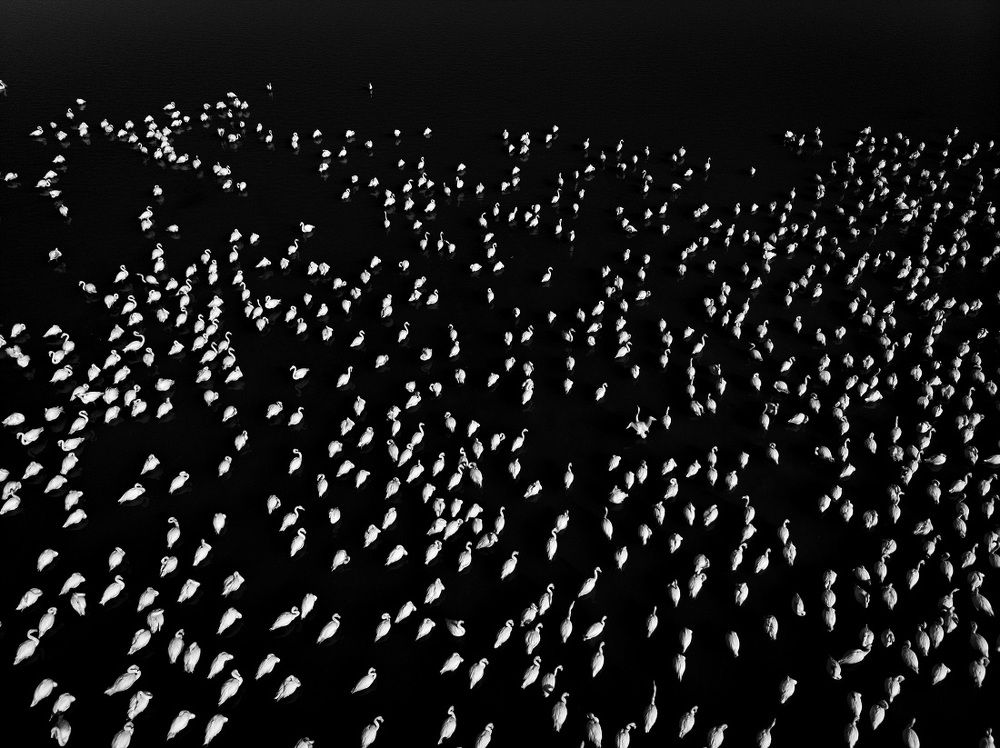 Photograph by keyvan Jafari