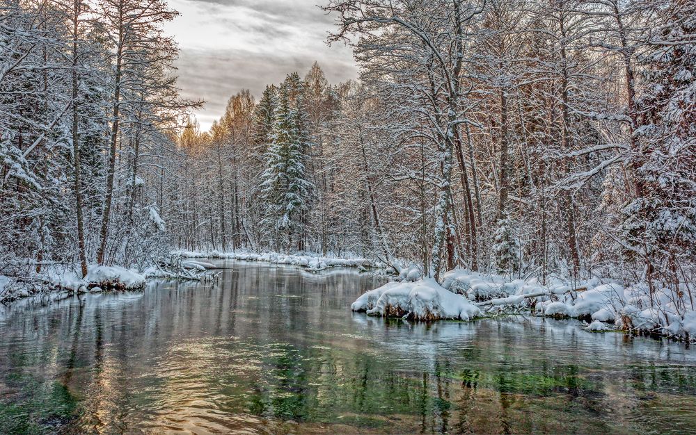 Фотография автора Александр Сальников