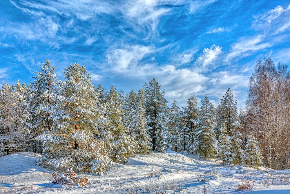 Погожий денёк.