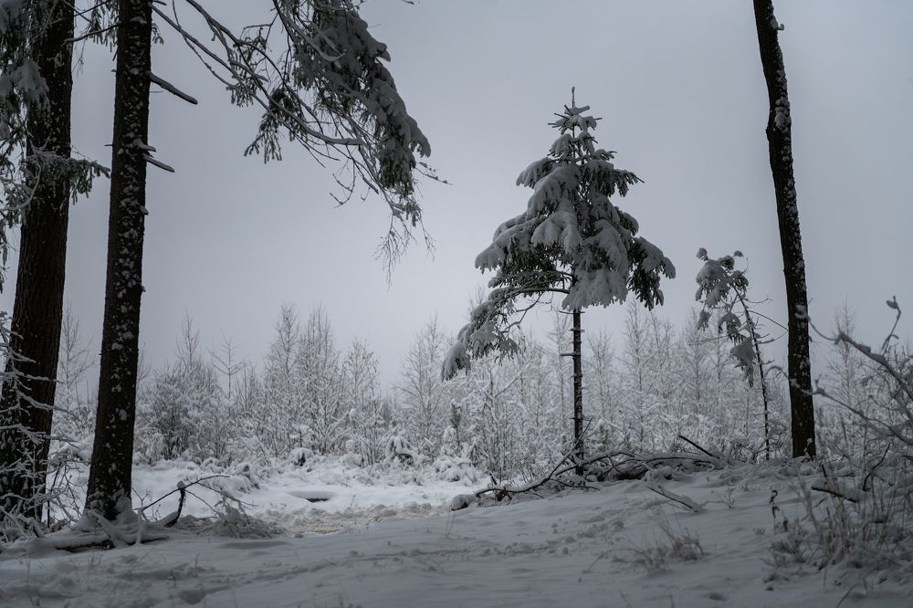 Хмурая зима