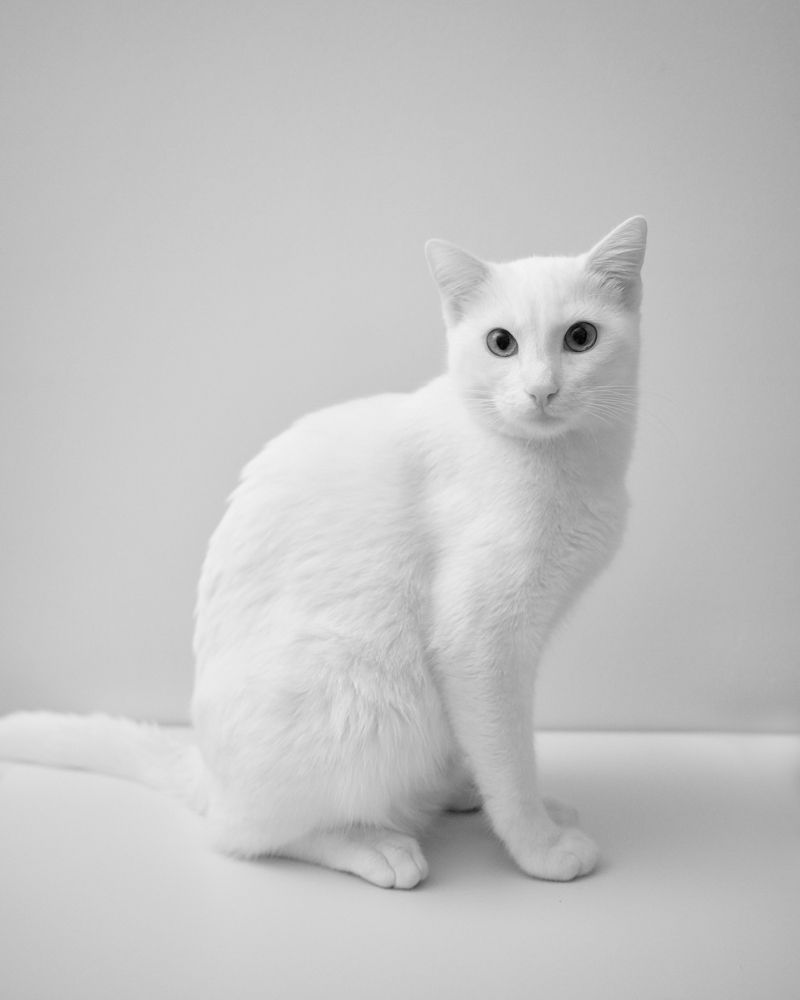 Photograph by Ersin Türk