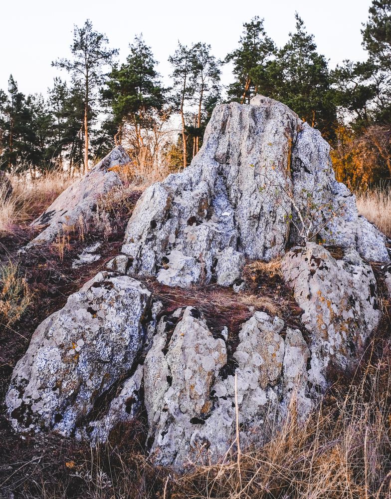 Photograph by Sergey Trush