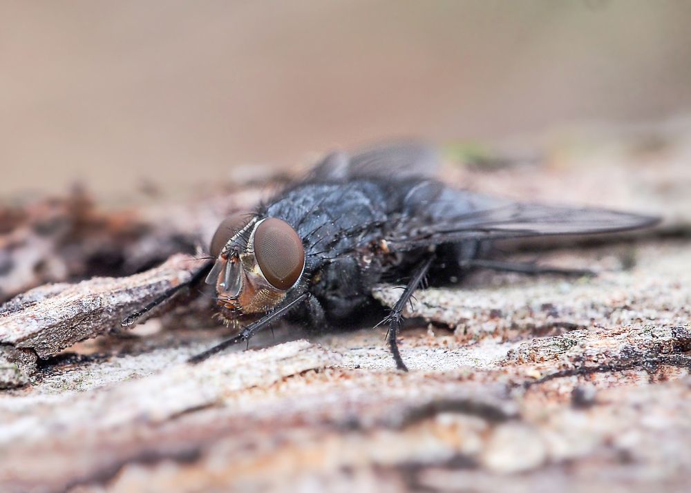 Photograph by Yana Marinova