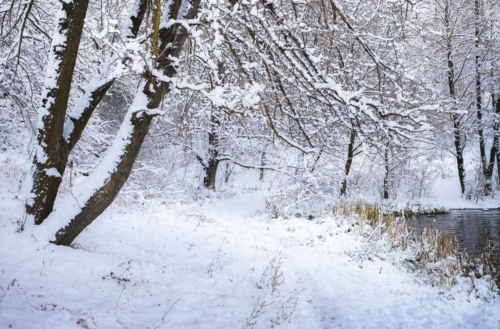 Photograph by Sergey Trush