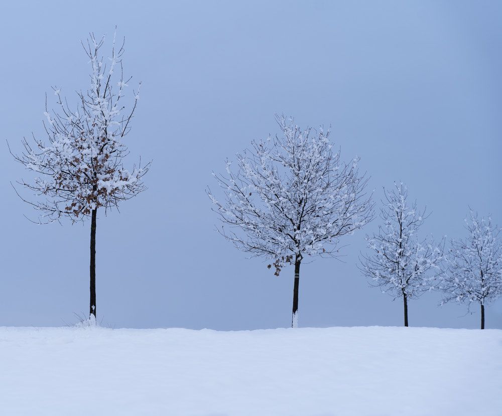 Photograph by Hanna Kazachenka