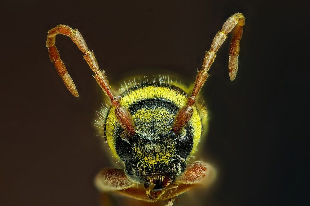 Photograph by Сергей Прокофьев