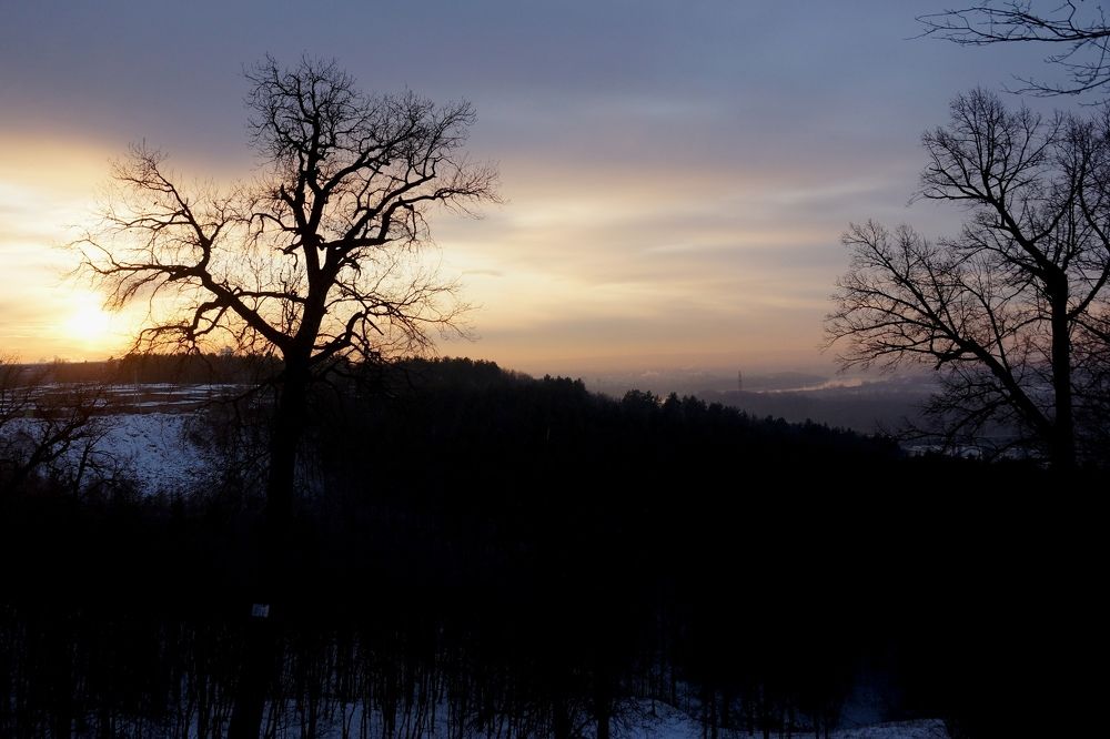 Photograph by Игорь Кравцов