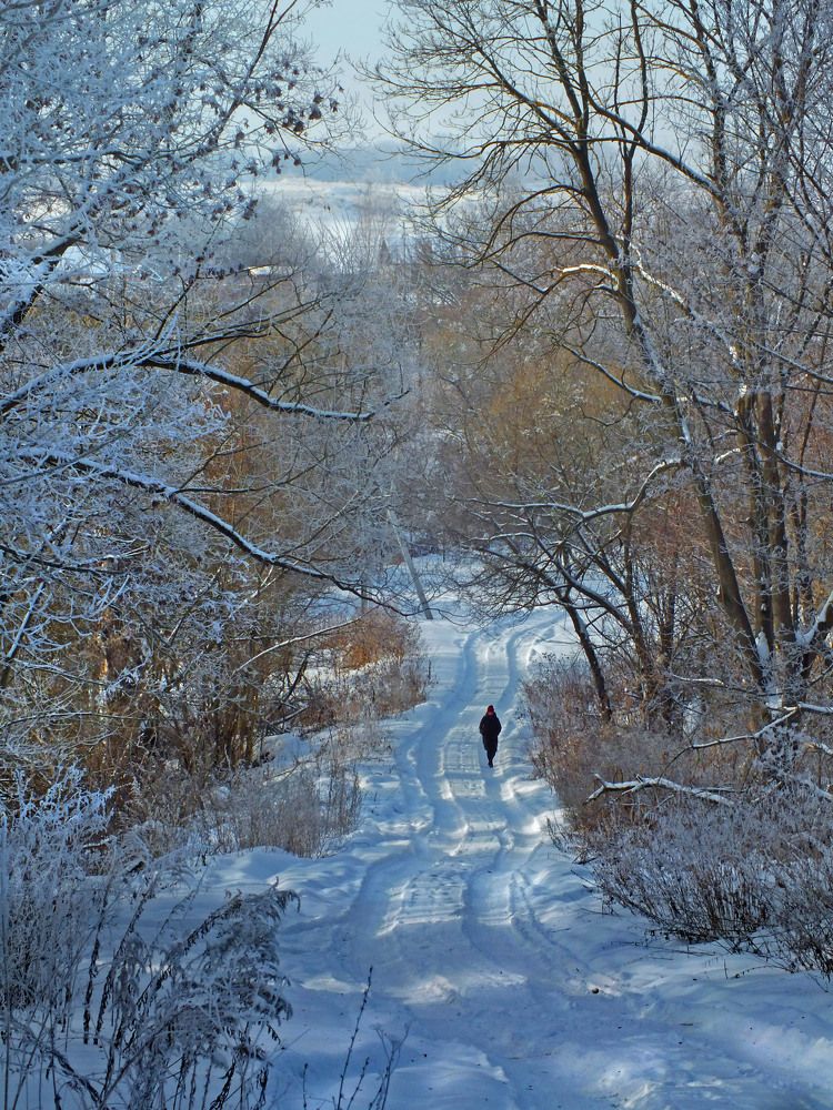 Photograph by Дмитрий Крылов