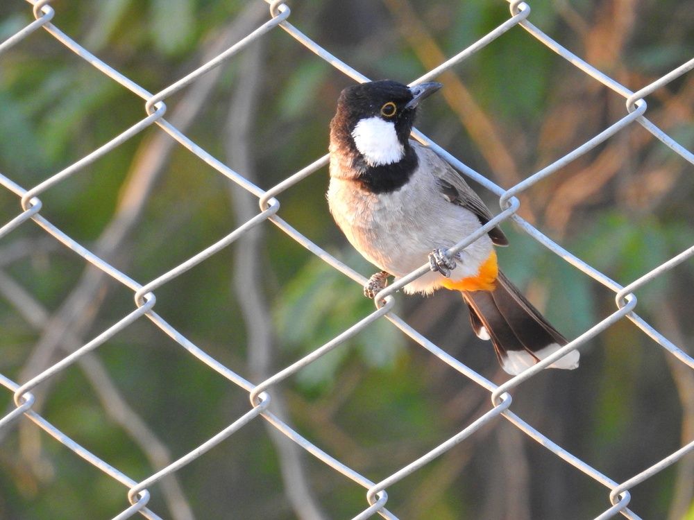 Photograph by Mohammad Tayeb Mahmoudi