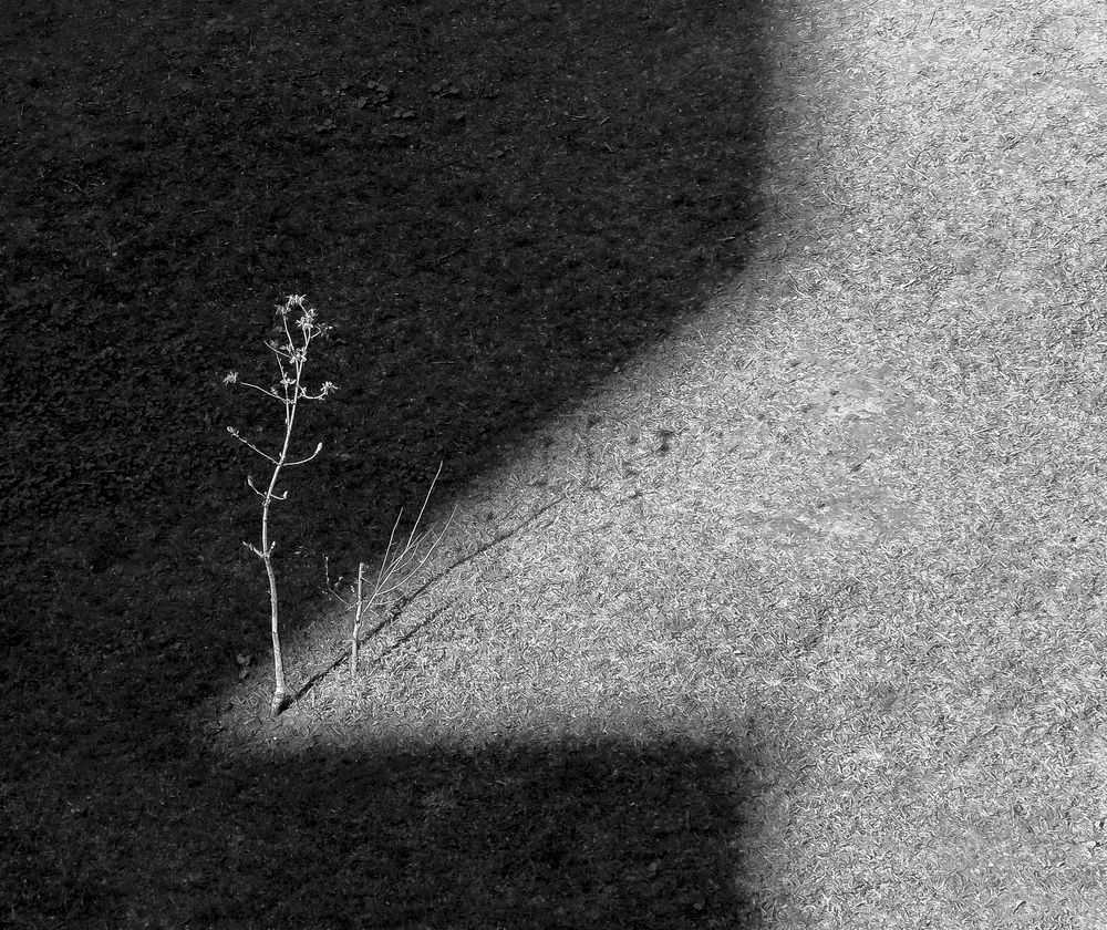 Photograph by Евгений Поляков