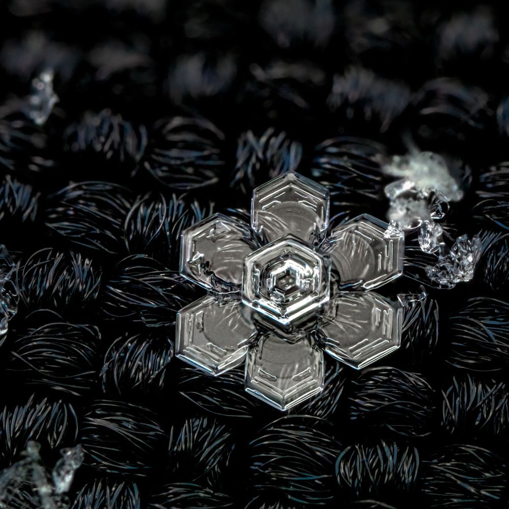 Photograph by  Mykhailo