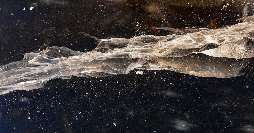 Photograph by Анна