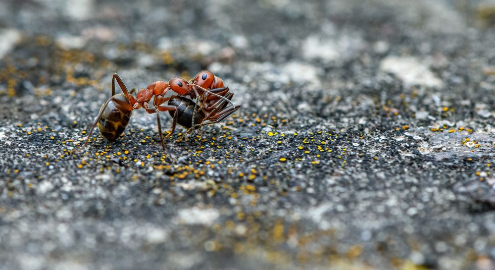 Photograph by  Mykhailo