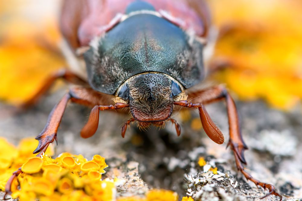 Photograph by  Mykhailo