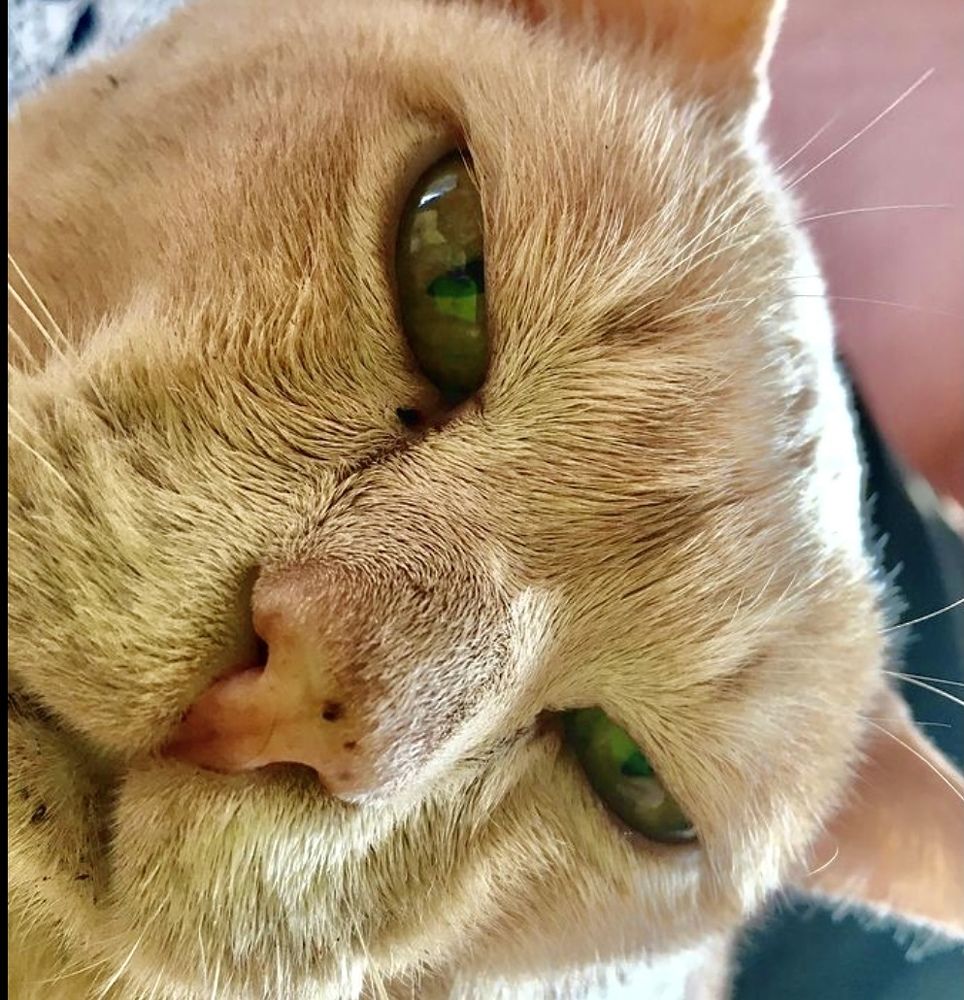 Зеркало души