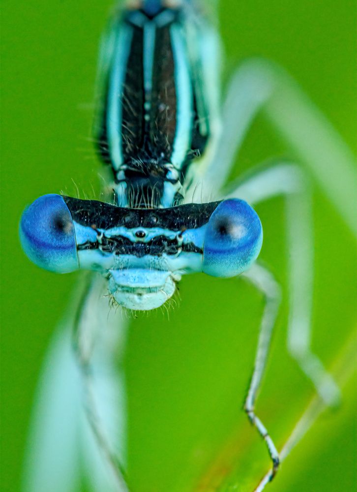 Photograph by  Mykhailo